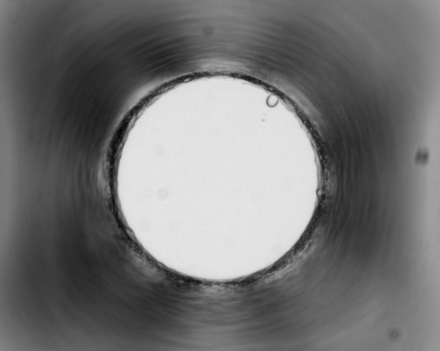 X0000103451022200810241140