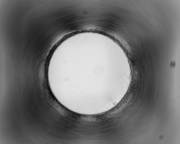 X0000103451023200810241140