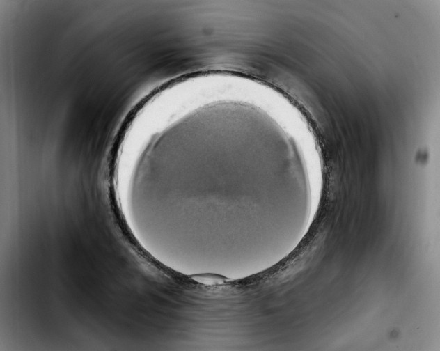 X0000103451024200810241140