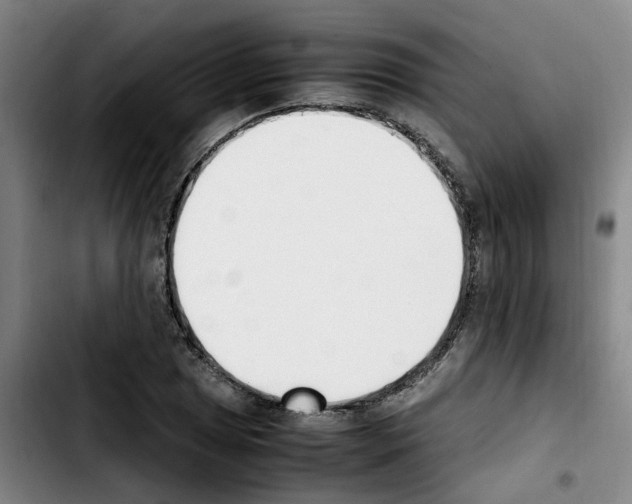 X0000103451025200810241140