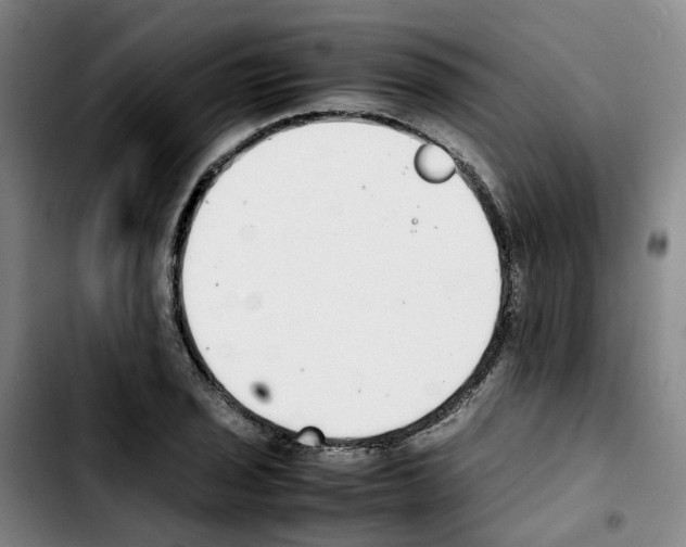 X0000103451029200810241140