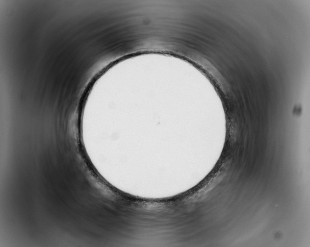 X0000103451030200810241140