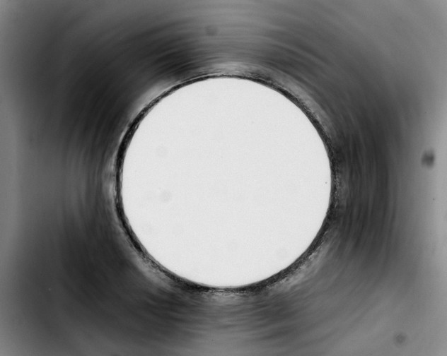 X0000103451034200810241140