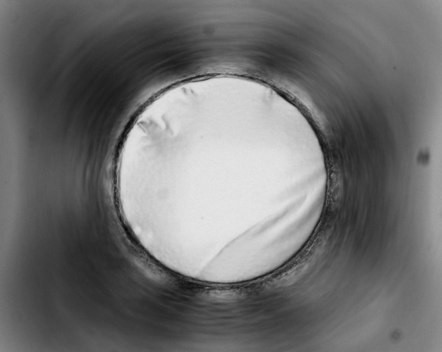 X0000103451035200810241140