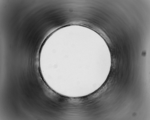 X0000103451036200810241140