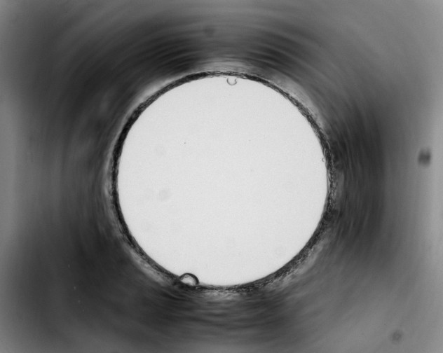 X0000103451037200810241140