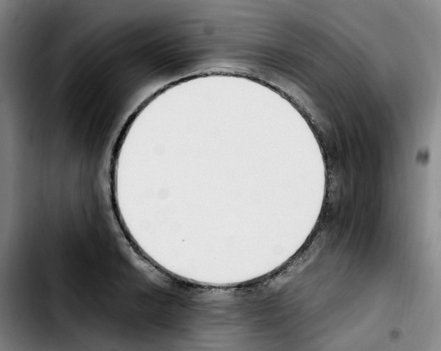 X0000103451038200810241140