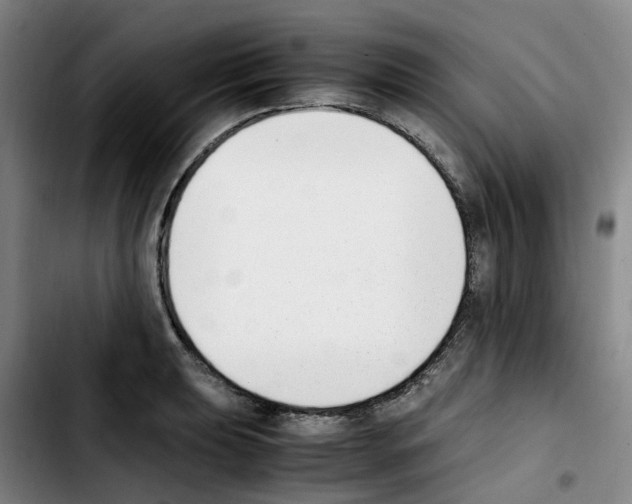 X0000103451039200810241140