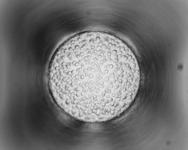 X0000103451040200810241140