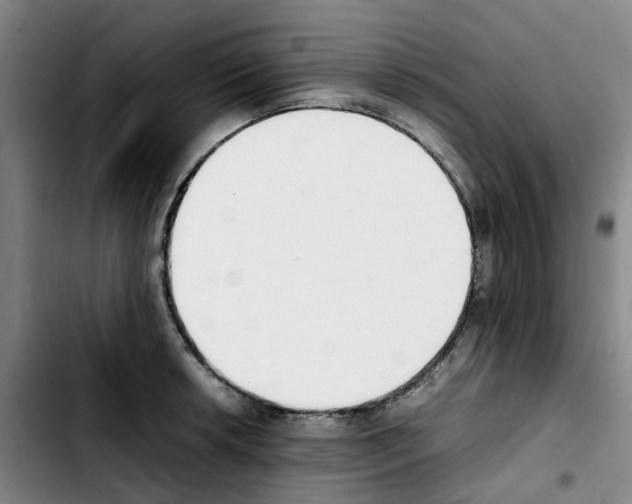 X0000103451042200810241140