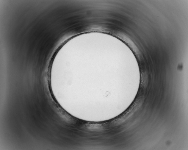 X0000103451043200810241140