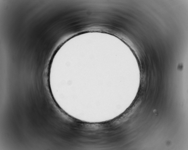 X0000103451045200810241140