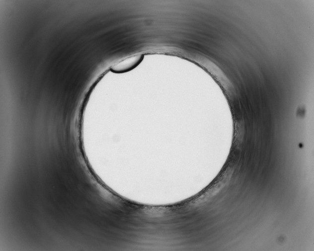 X0000103451046200810241140