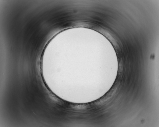 X0000103451047200810241140