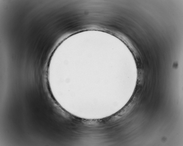 X0000103451048200810241140