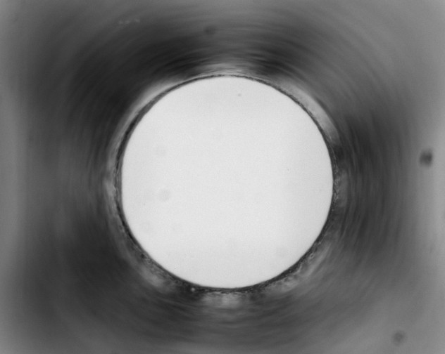 X0000103451051200810241141