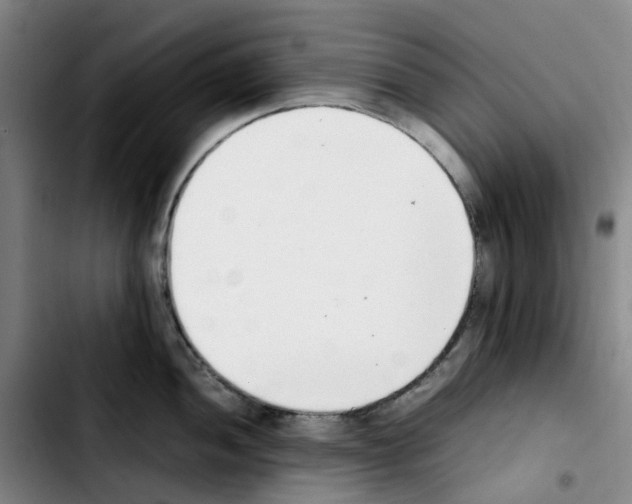 X0000103451052200810241141