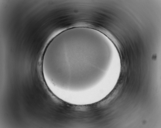 X0000103451053200810241141