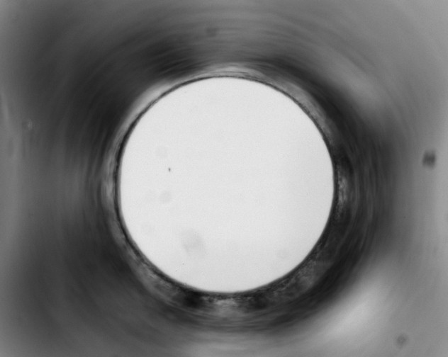 X0000103451054200810241141