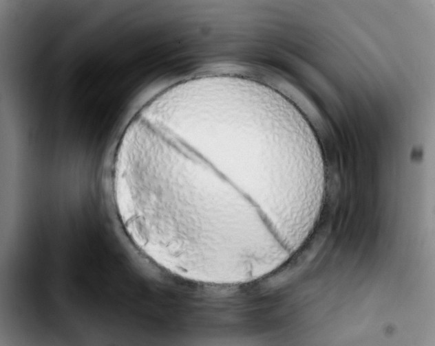 X0000103451055200810241141