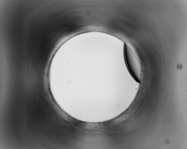 X0000103451056200810241141