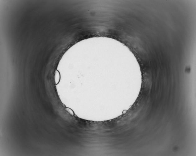 X0000103451057200810241140