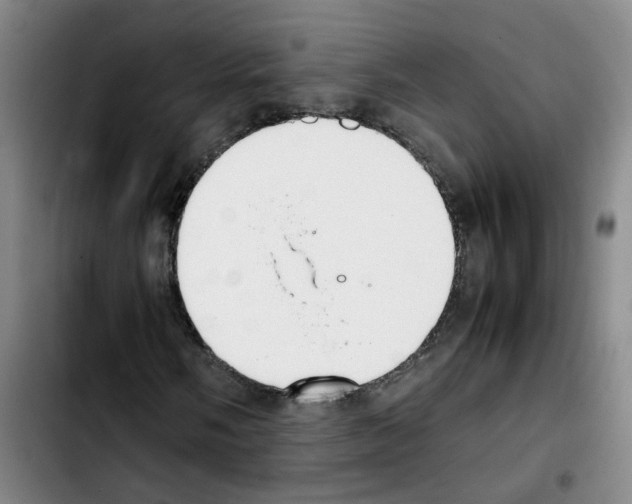 X0000103451058200810241140