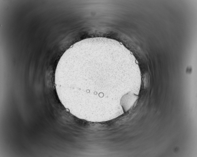 X0000103451059200810241140