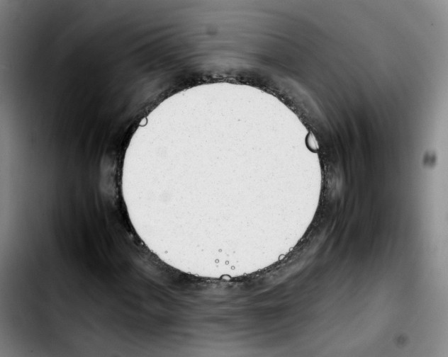 X0000103451060200810241140