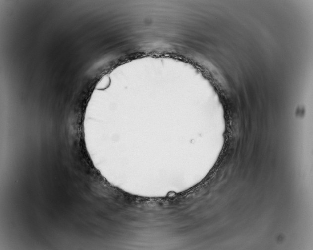 X0000103451063200810241140