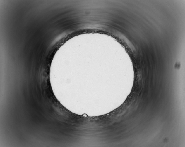 X0000103451064200810241140