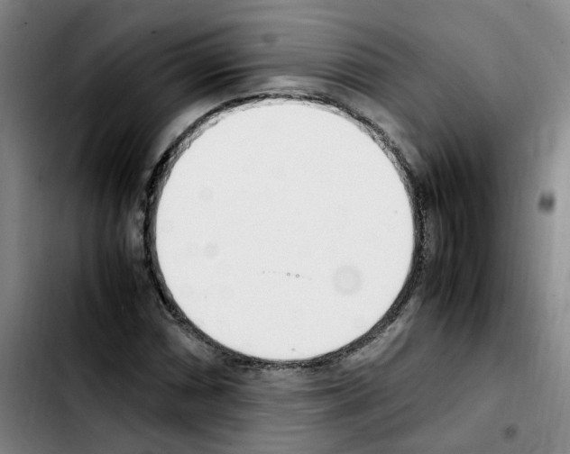 X0000103451066200810241140