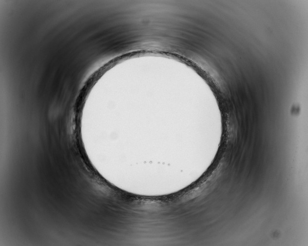 X0000103451070200810241140