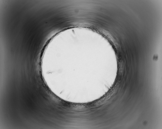 X0000103451071200810241140