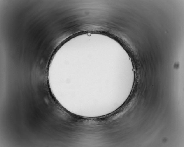 X0000103451073200810241140