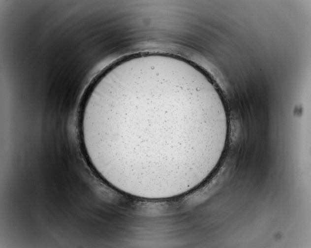 X0000103451074200810241139