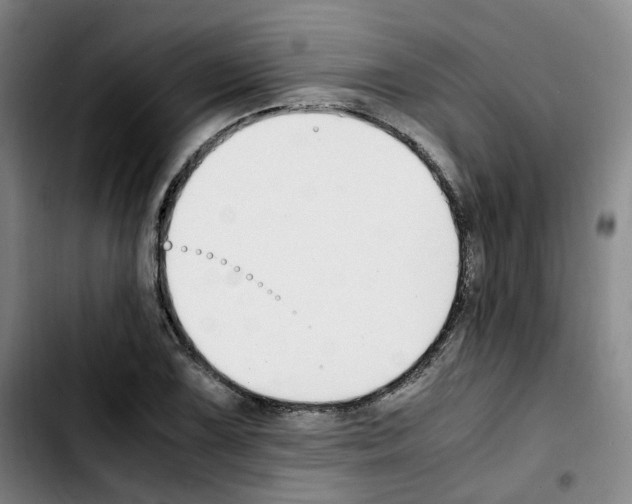 X0000103451075200810241139