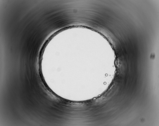 X0000103451076200810241139