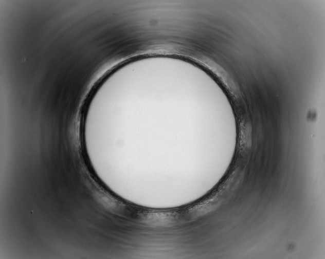 X0000103451078200810241139