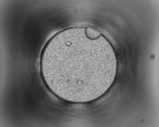 X0000103451079200810241139