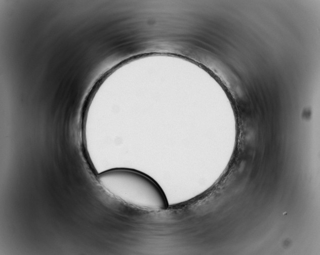 X0000103451080200810241139