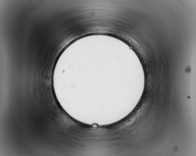 X0000103451081200810241139