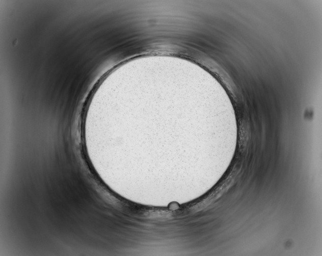 X0000103451083200810241139