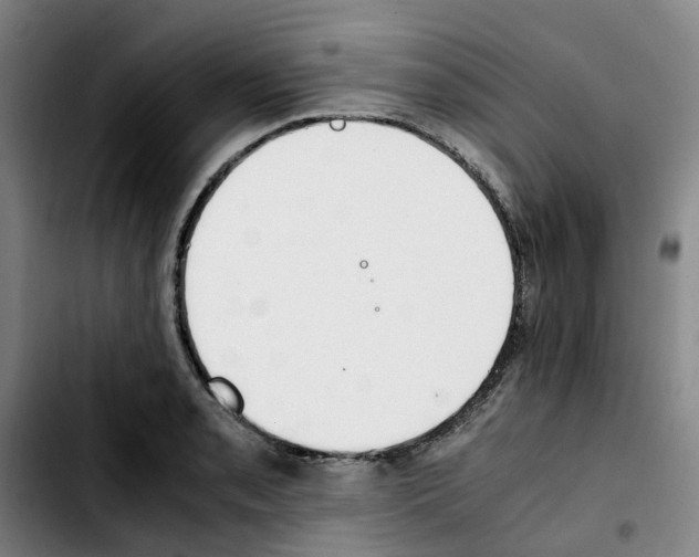 X0000103451085200810241139