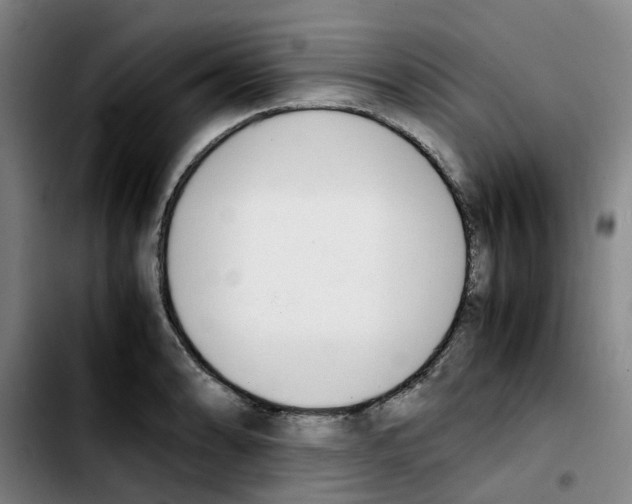 X0000103451086200810241139