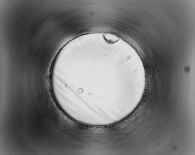 X0000103451087200810241139