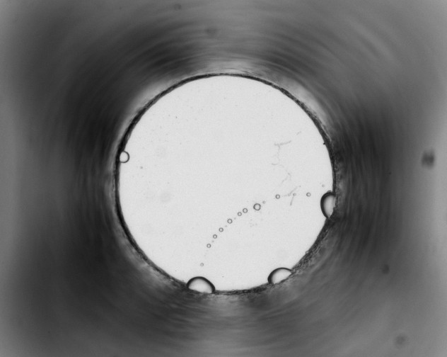 X0000103451088200810241139