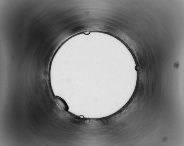 X0000103451089200810241139