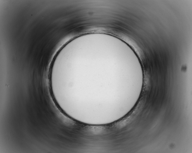 X0000103451090200810241139