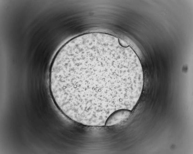 X0000103451092200810241139